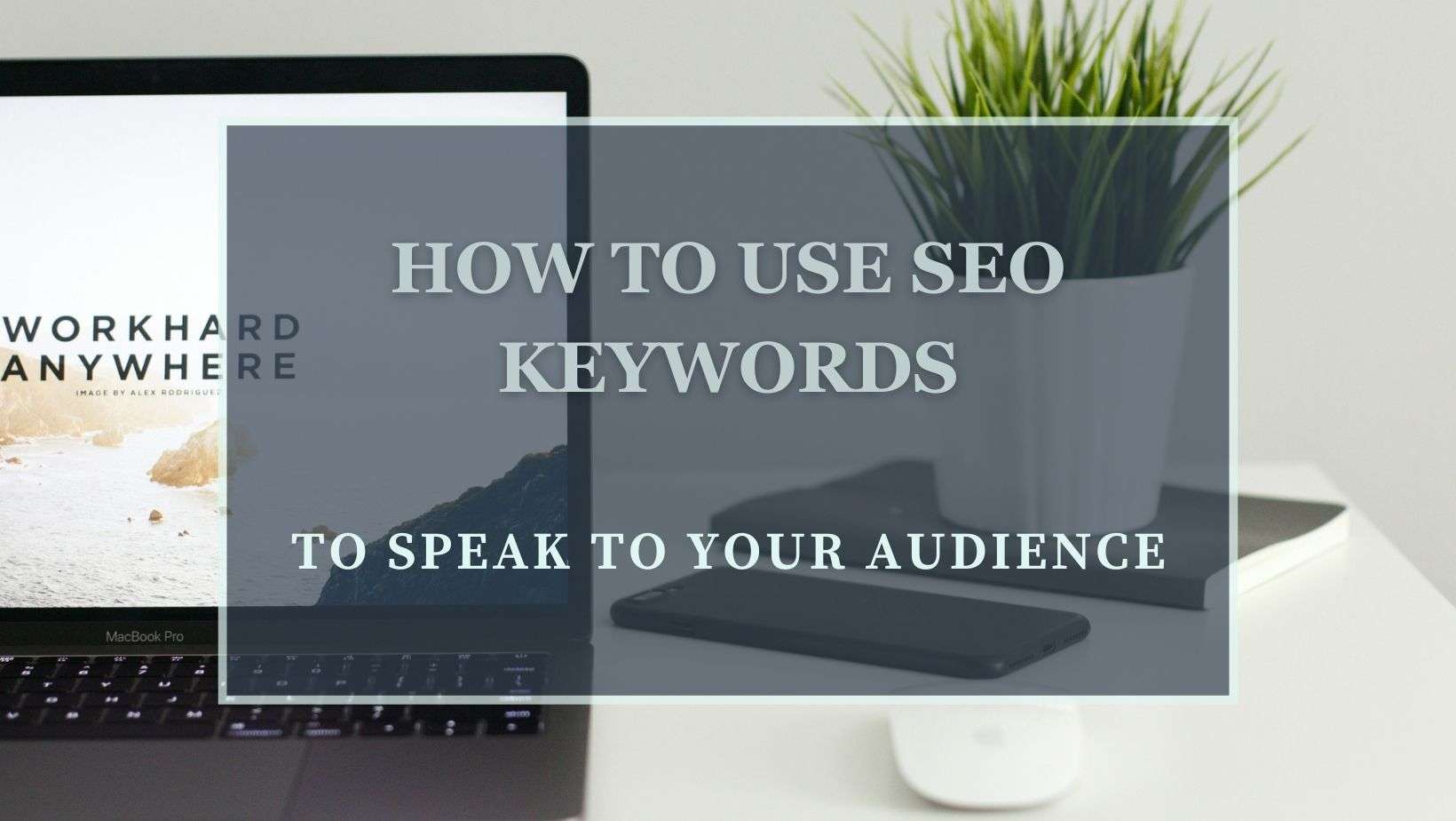 SEO Keywords